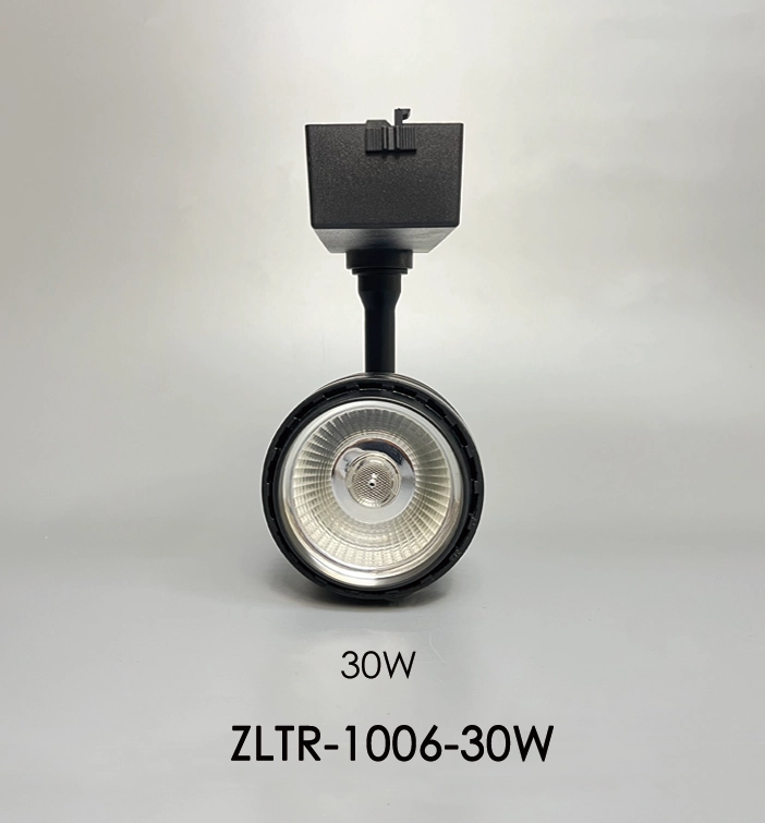 Black LED track light